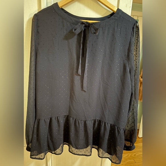 Sheer Dark Romantic Polka Dot Navy Whimsi Blouse XL With Back Bow holiday - Picture 6 of 9